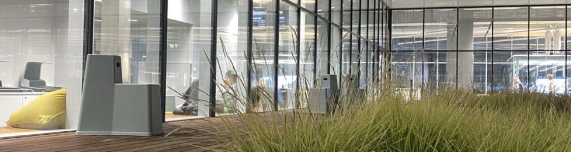 5368583681641408345-1.jpg 5368583681641408345-1.jpg